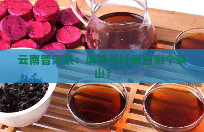 云南普洱茶：麻黑茶叶源自哪个茶山？