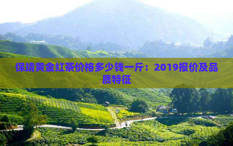 保靖黄金红茶价格多少钱一斤：2019报价及品质特征