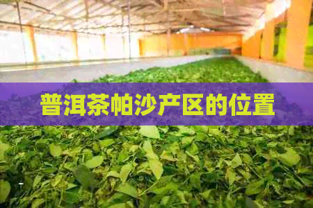 普洱茶帕沙产区的位置