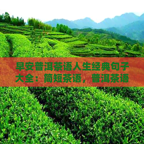 早安普洱茶语人生经典句子大全：简短茶语，普洱茶语录怎么写