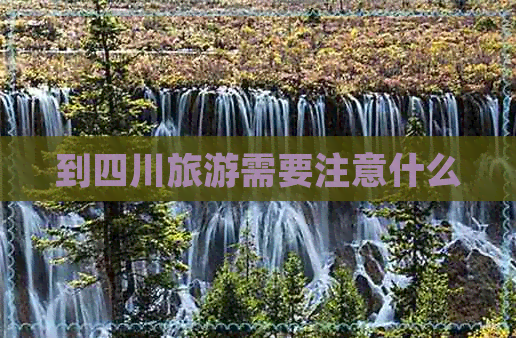 到四川旅游需要注意什么