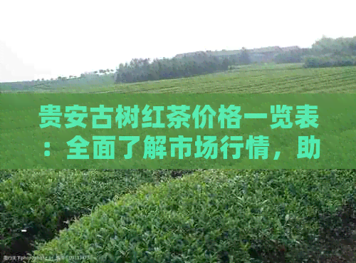 贵安古树红茶价格一览表：全面了解市场行情，助您轻松选购优质红茶