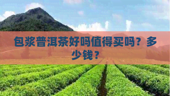 包浆普洱茶好吗值得买吗？多少钱？