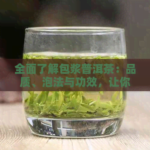 全面了解包浆普洱茶：品质、泡法与功效，让你轻松成为泡茶高手！