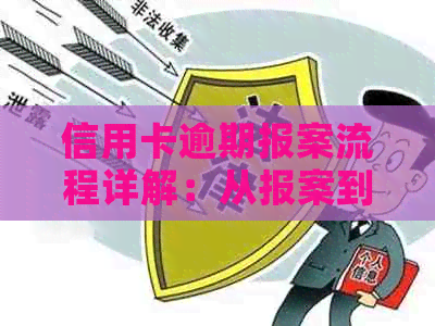 信用卡逾期报案流程详解：从报案到立案的全貌解析，解决用户所有疑问