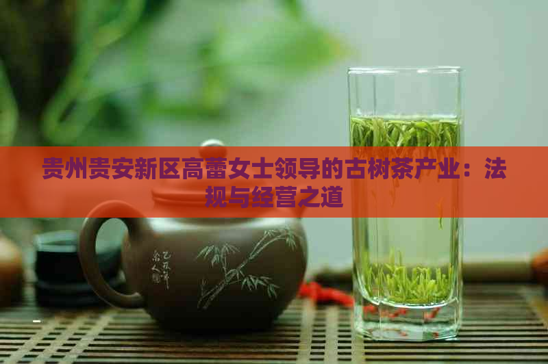 贵州贵安新区高蕾女士领导的古树茶产业：法规与经营之道