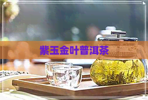 紫玉金叶普洱茶