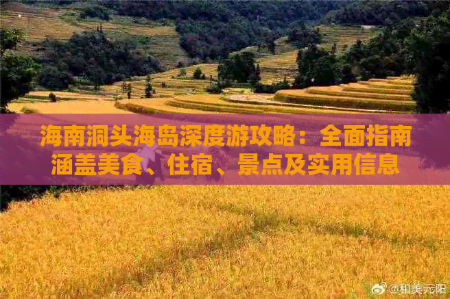 海南洞头海岛深度游攻略：全面指南涵盖美食、住宿、景点及实用信息