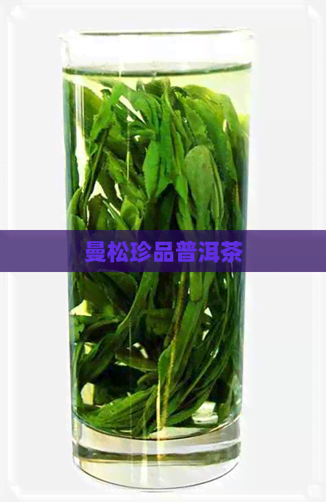 曼松珍品普洱茶