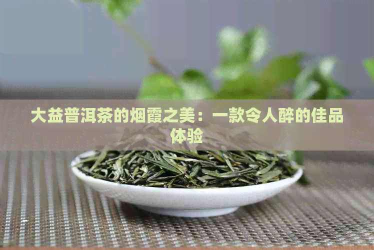 大益普洱茶的烟霞之美：一款令人醉的佳品体验