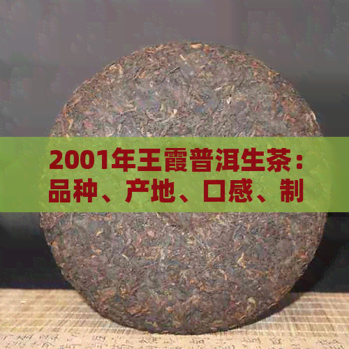 2001年王霞普洱生茶：品种、产地、口感、制作工艺及收藏价值全方位解析