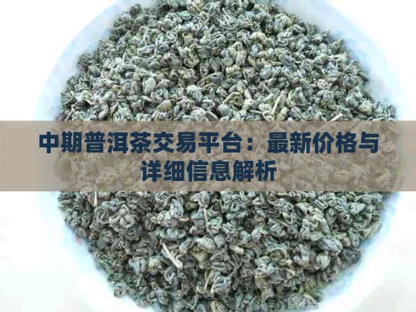 中期普洱茶交易平台：最新价格与详细信息解析