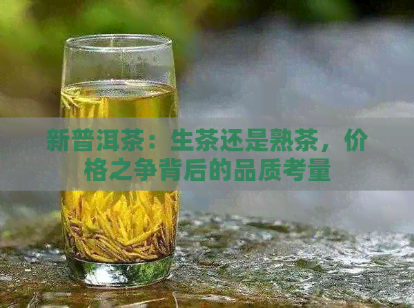 新普洱茶：生茶还是熟茶，价格之争背后的品质考量