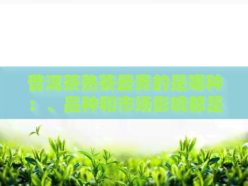 普洱茶熟茶最贵的是哪种：、品种和市场影响都是影响价格的重要因素。