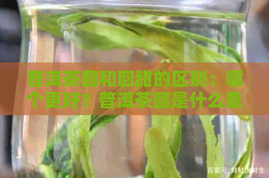 普洱茶回和回甜的区别：哪个更好？普洱茶回是什么意思？是做出来的吗？