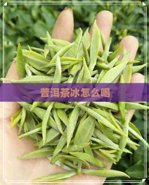 普洱茶冰怎么喝