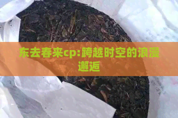 东去春来cp:跨越时空的浪漫邂逅