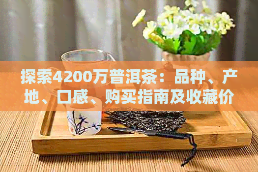 探索4200万普洱茶：品种、产地、口感、购买指南及收藏价值全方位解析