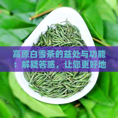 高原白雪茶的益处与功能：解疑答惑，让您更好地了解这一神奇茶叶