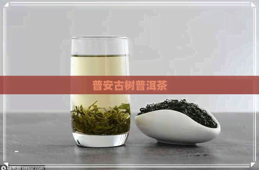 普安古树普洱茶