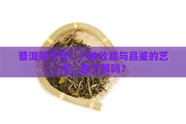 普洱茶干仓：一种收藏与品鉴的艺术，你了解吗？