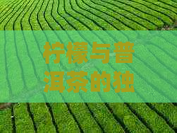 柠檬与普洱茶的独特组合：深入解析其健益处及泡茶技巧