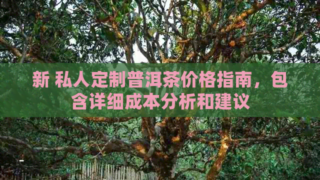 新 私人定制普洱茶价格指南，包含详细成本分析和建议