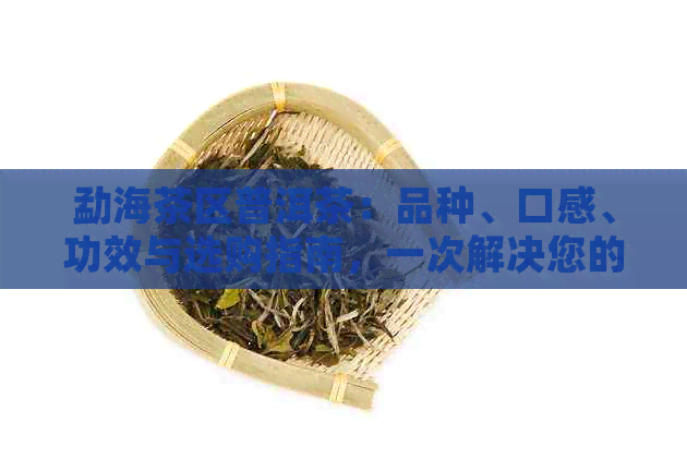 勐海茶区普洱茶：品种、口感、功效与选购指南，一次解决您的所有疑问