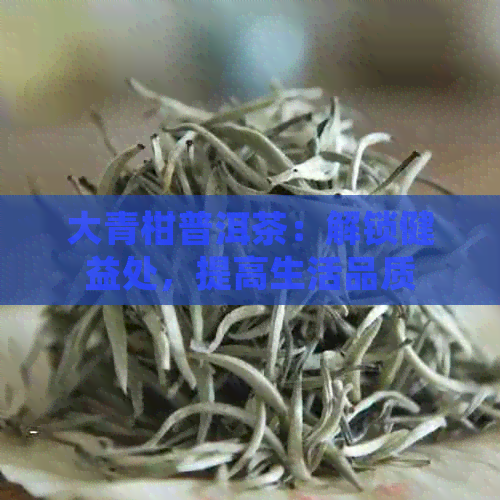 大青柑普洱茶：解锁健益处，提高生活品质