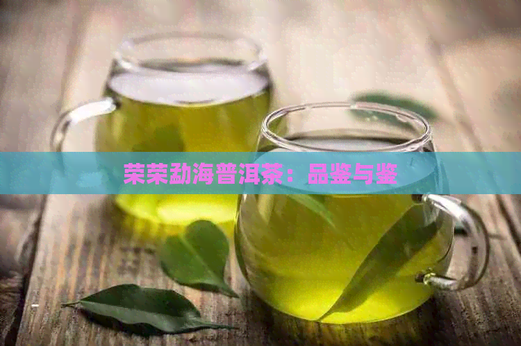 荣荣勐海普洱茶：品鉴与鉴