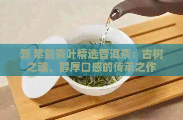 新 紫韵茶叶精选普洱茶：古树之魂，醇厚口感的传承之作