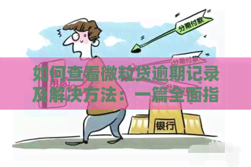 如何查看微粒贷逾期记录及解决方法：一篇全面指南