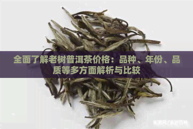 全面了解老树普洱茶价格：品种、年份、品质等多方面解析与比较