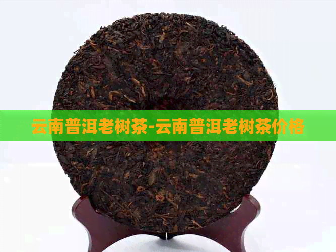 云南普洱老树茶-云南普洱老树茶价格