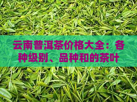 云南普洱茶价格大全：各种级别、品种和的茶叶市场行情分析