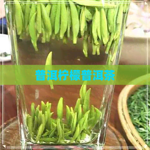 普洱柠檬普洱茶