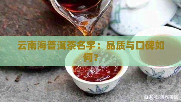 云南海普洱茶名字：品质与口碑如何？