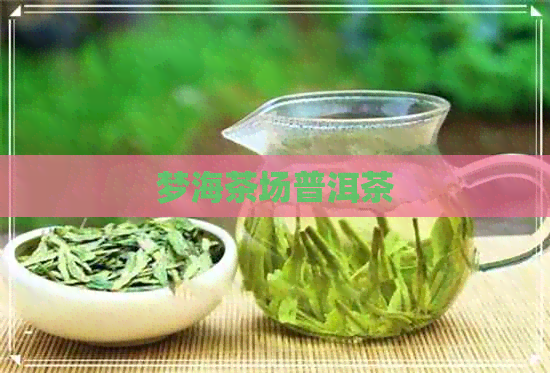 梦海茶场普洱茶