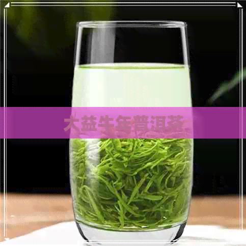 大益牛年普洱茶