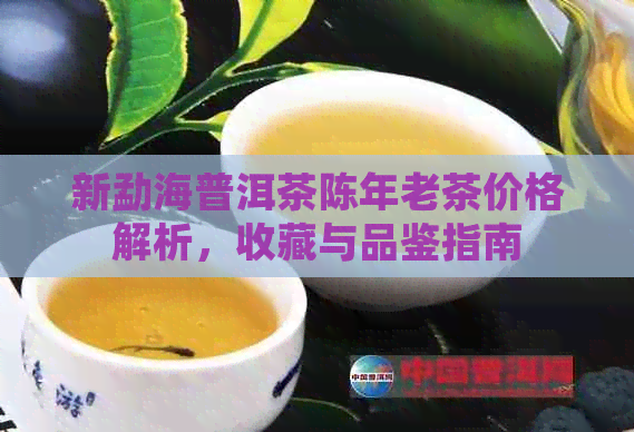 新勐海普洱茶陈年老茶价格解析，收藏与品鉴指南