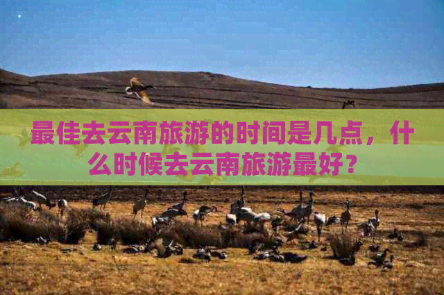 更佳去云南旅游的时间是几点，什么时候去云南旅游更好？