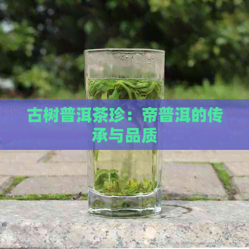 古树普洱茶珍：帝普洱的传承与品质