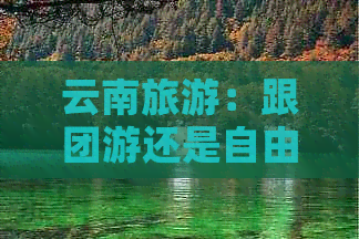 云南旅游：跟团游还是自由行？全面比较分析及建议