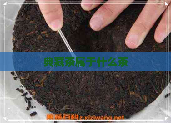 典藏茶属于什么茶