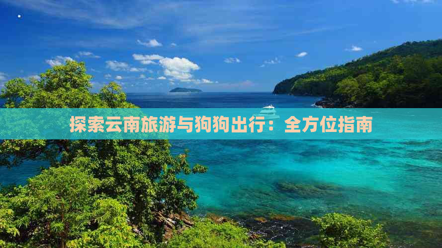 探索云南旅游与狗狗出行：全方位指南