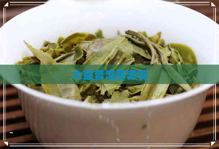 大益普洱茶赤羽