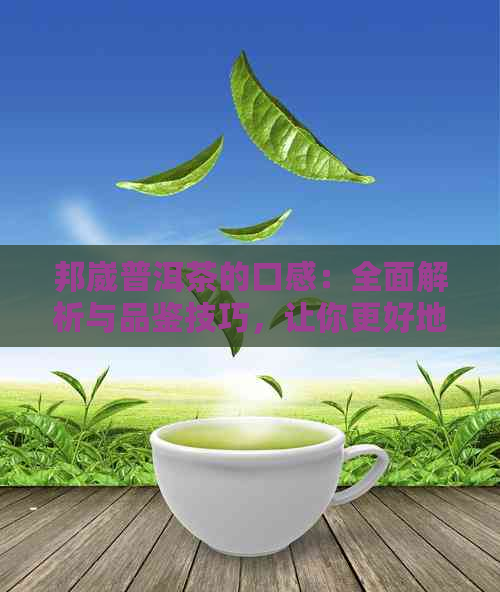 邦崴普洱茶的口感：全面解析与品鉴技巧，让你更好地了解这款茶叶的魅力