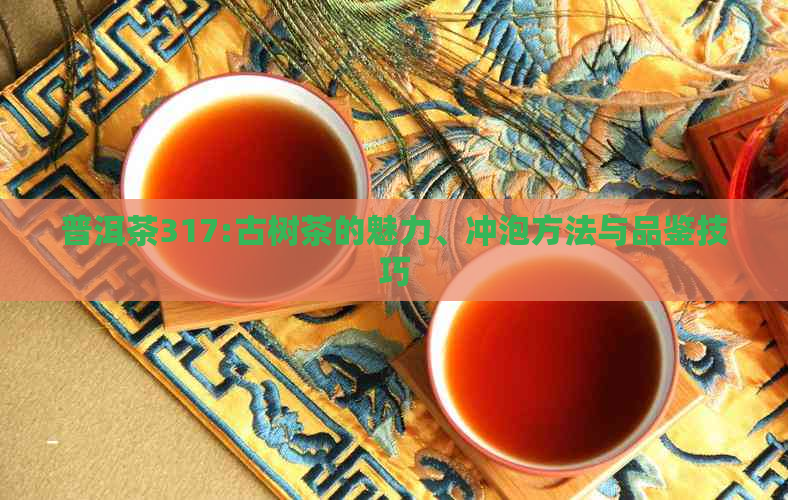 普洱茶317:古树茶的魅力、冲泡方法与品鉴技巧