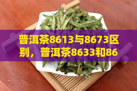 普洱茶8613与8673区别，普洱茶8633和8653是什么意思？