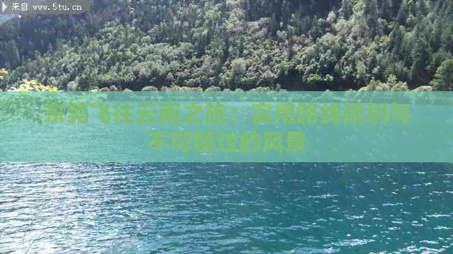 东莞飞往云南之旅：实用路线规划与不可错过的风景